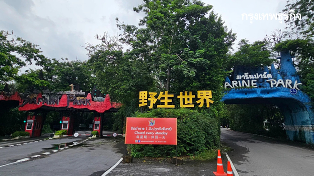 สวนสัตว์ ซาฟารีเวิลด์ เปิดปกติ 2 โซนหลัก หลังสิงโตกัดเจ้าหน้าที่