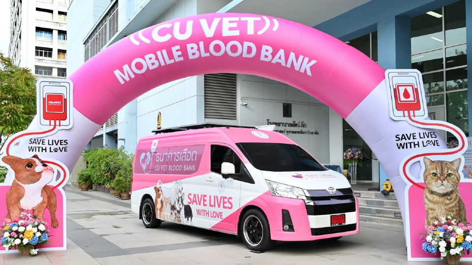 'Mobile Blood Bank' รถบริจาคเลือด จุฬาฯ ช่วยสัตว์ป่วยได้ทันท่วงที
