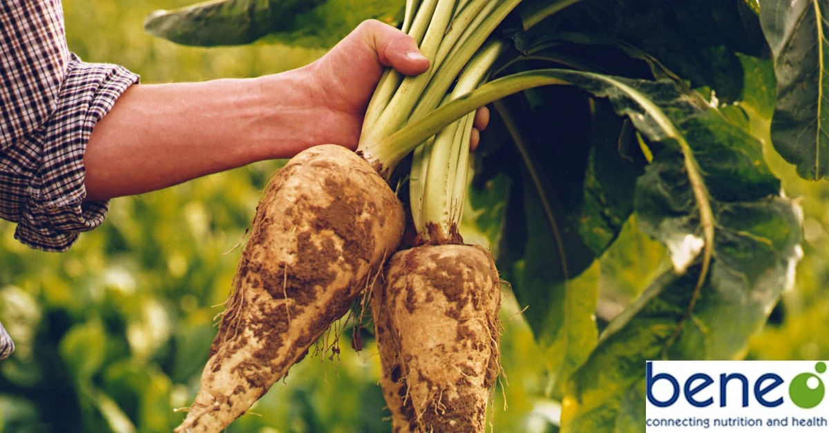 BENEO ยืนยันคุณประโยชน์พรีไบโอติกในการผลิตส่วนผสมอาหาร