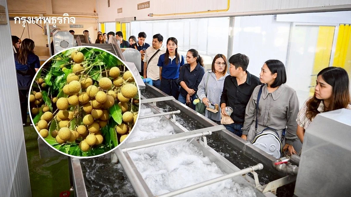 มกอช.เร่งหาวิธี สกัดลำไยปนเปื้อนซัลเฟอร์ไดออกไซด์ ส่งจีน