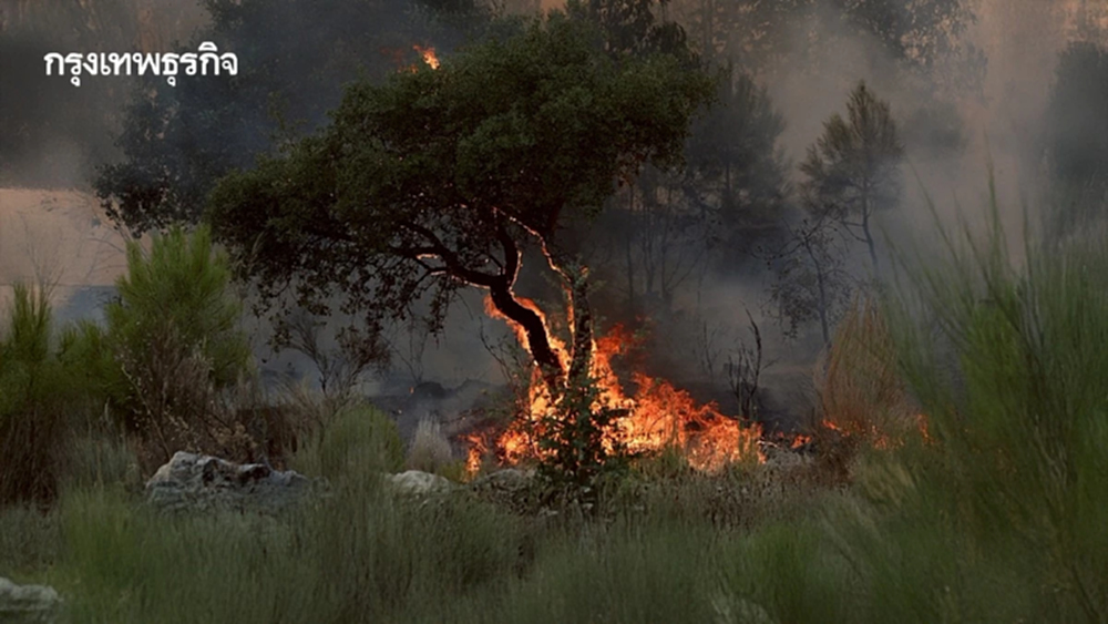 โปรตุเกสจับเด็กอายุ 14 จุดไฟเผาป่า เพราะโกรธที่ผลการเรียนแย่ เพื่อนไม่คบ