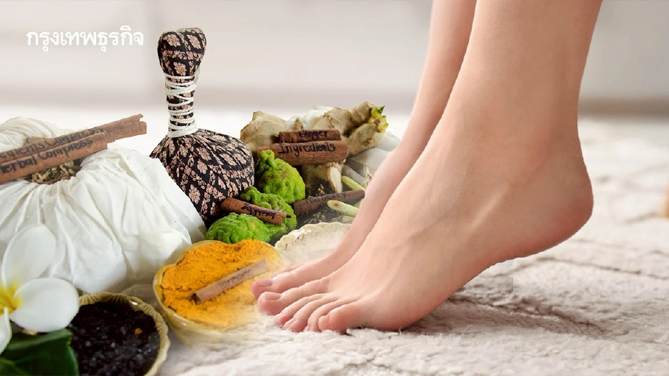 ‘สมุนไพรโรยเท้า’ ป้องกัน ‘เท้าเปื่อย’  อภัยภูเบศรเผยสูตรเด็ด