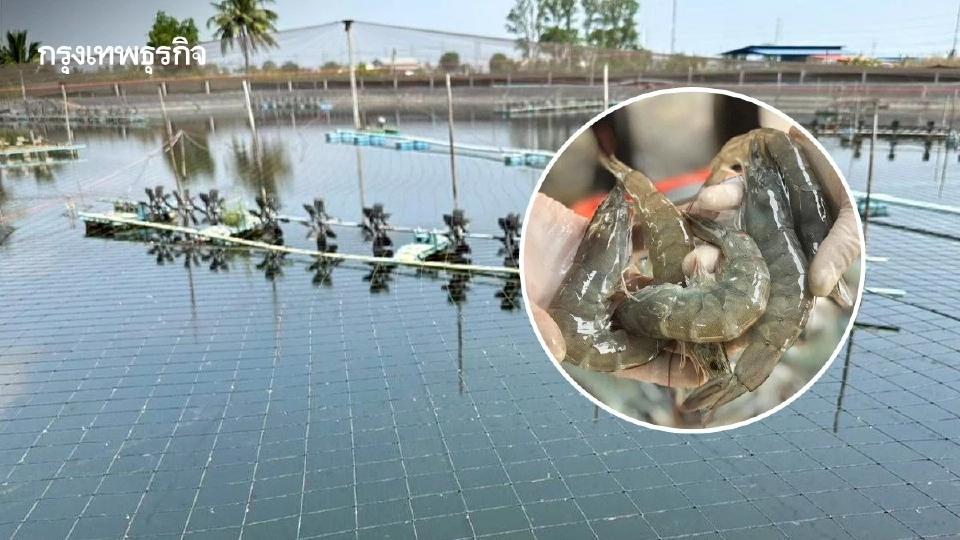 บอร์ดกุ้ง ใช้โซลาร์เซลล์ในฟาร์ม ลดต้นทุน-สร้างความยั่งยืน ฟื้นอุตสาหกรรม