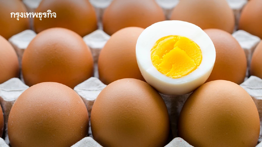 ไข่ไก่ กินทุกวัน สุขภาพดีทุกวัย บำรุงสมอง ดวงตา และร่างกาย