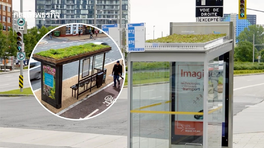 ‘ป้ายรถเมล์สีเขียว’ ปลูกพืชบนหลังคา ช่วยลดความร้อนในเมือง เพิ่มจำนวนผึ้งไม่ให้สูญพันธุ์