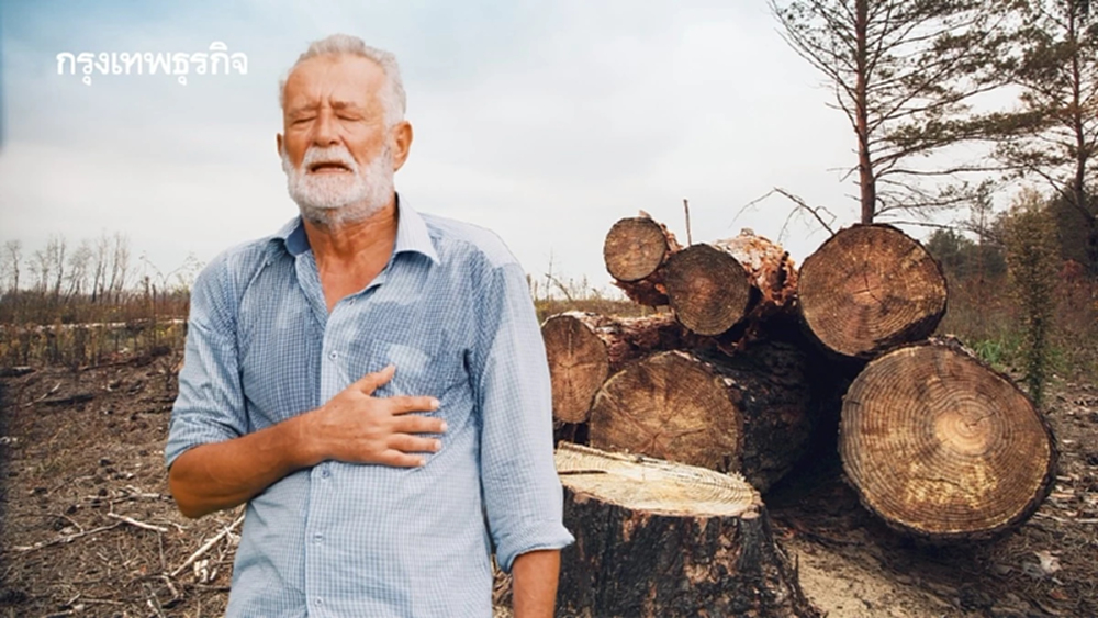 ‘ตัดไม้ทำลายป่า’ คร่าชีวิตคนครึ่งล้านในรอบ 20 ปี ป่าหายร่างกายร้อนขึ้น 3 °C