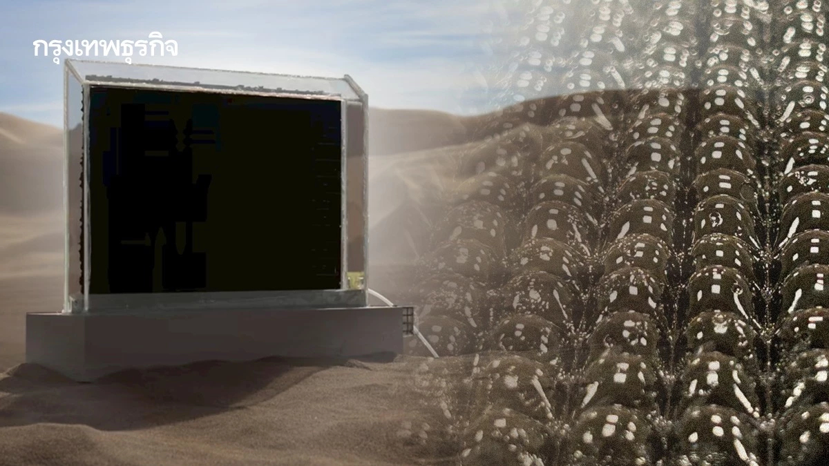 กักเก็บน้ำในอากาศ ด้วย ‘ไฮโดรเจล’ ใช้งานได้แม้ในพื้นที่แห้งแล้งที่สุดในโลก