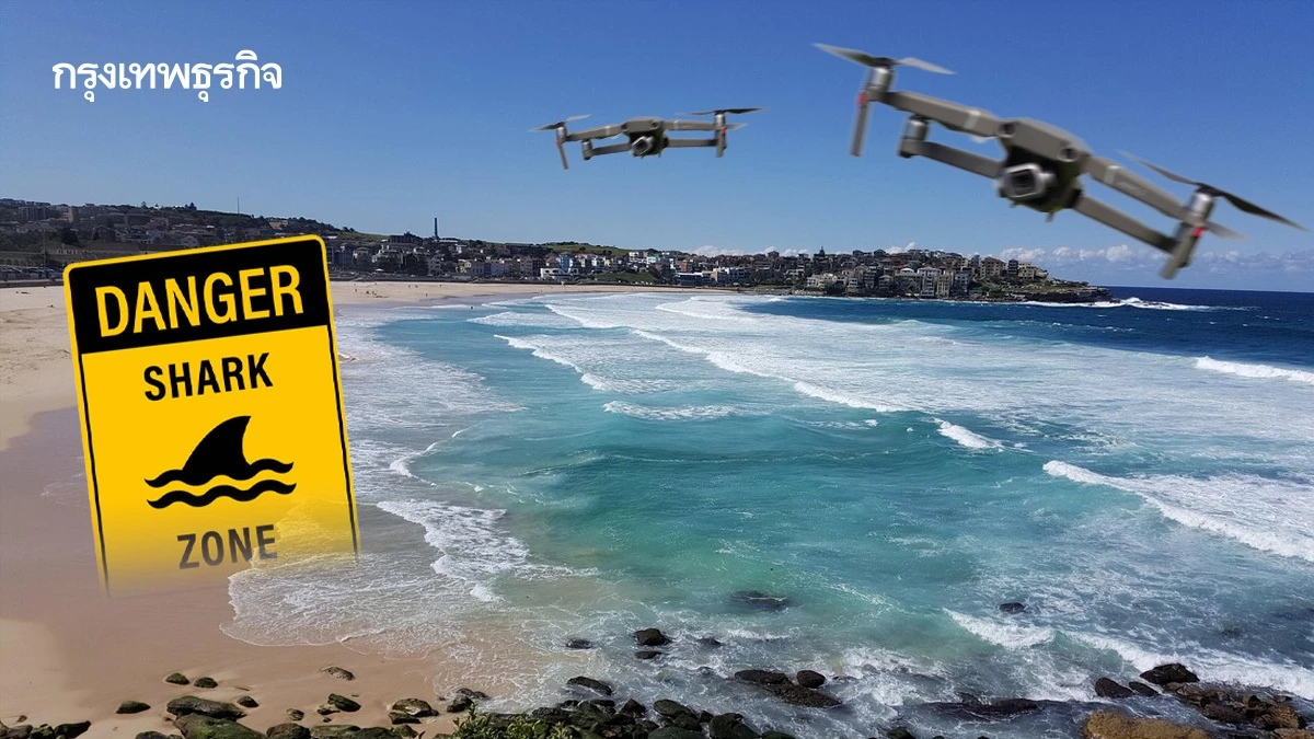 หาดดังซิดนีย์ส่ง ฮ.-โดรนระวังเหตุ ‘ฉลามบุก’