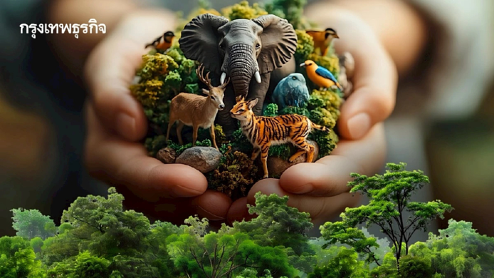 วิกฤติ 'ความหลากหลายทางชีวภาพ' แต่รัฐลงทุนไม่ถึง 1% ของงบฯ