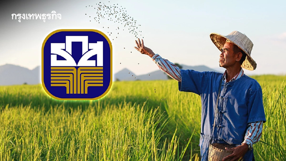 เช็กไร่ละ 1000 ถึงคิวสุดท้าย 'นาปรัง 68' ธกส จ่ายตรงช่วยเหลือชาวนา