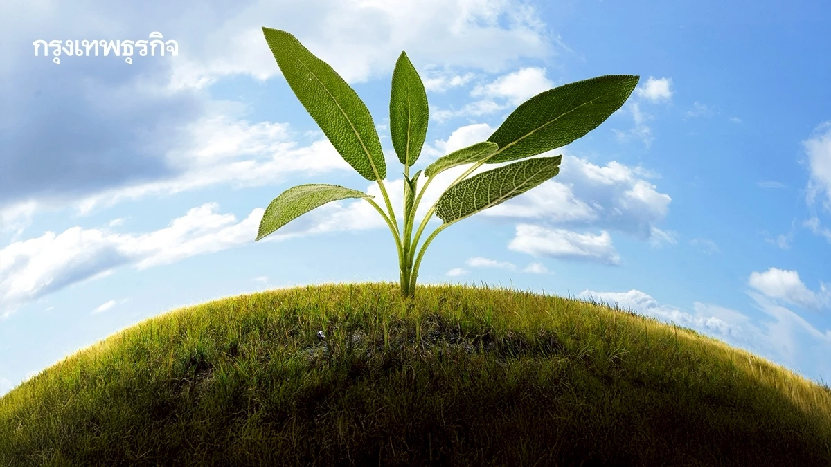 16 กันยายน 'วันโอโซนโลก' ถ้าเกราะฟ้าแตก… อาจไม่มีใครรอด