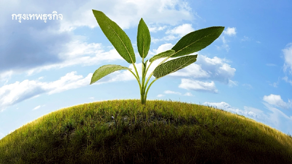 16 กันยายน 'วันโอโซนโลก' ถ้าเกราะฟ้าแตก… อาจไม่มีใครรอด