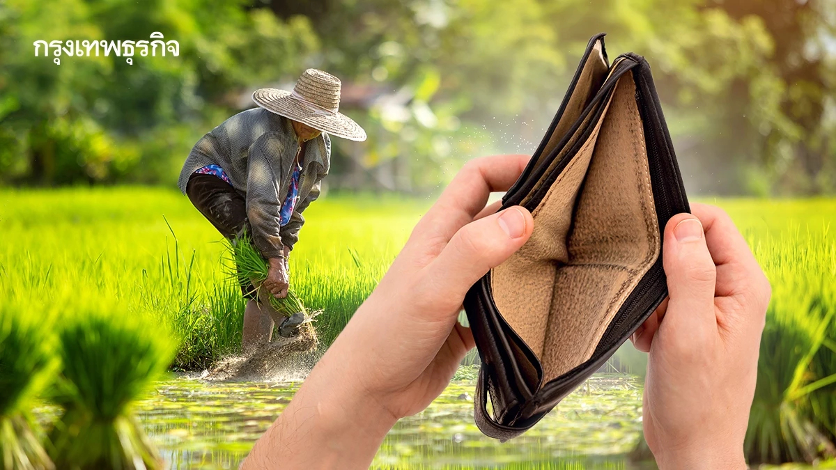 เงินไม่เข้า ทำยังไง? ช่วยเหลือไร่ละ 1000 วิธีตรวจสอบสถานะ โอนจริง