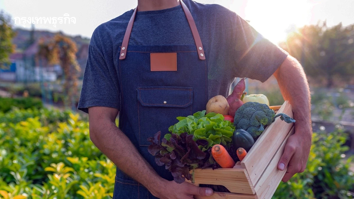 ปลดล็อกอนาคต 'อาหารเอเชีย' 4 ยุทธศาสตร์พลิกโฉมเกษตรกรรายย่อย สู่ระบบอาหารที่ยั่งยืน