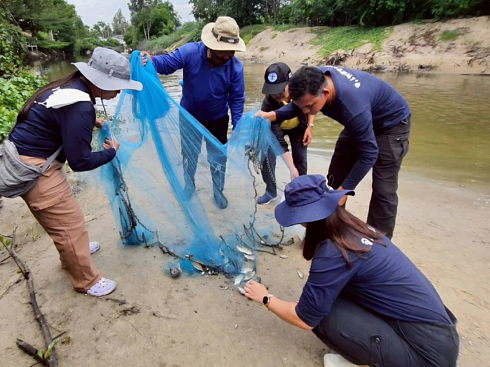 เมืองชะอำ ล่า ปลาหมอคางดำ ไม่หยุด เร่งคุมอย่างเป็นระบบ หนุนสร้างโอกาสให้ชุมชน
