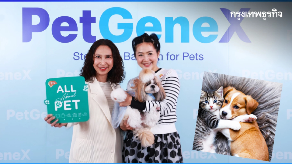 ครั้งแรกในไทย ใช้ ‘สเต็มเซลล์’ รักษา ‘สัตว์เลี้ยง’ ที่เรารัก