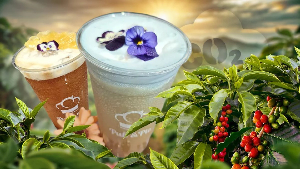 ครั้งแรก การบินไทย เสิร์ฟ 5 เมนู 'กาแฟคาร์บอนเป็นกลาง' จากดอยตุง ที่ Puff & Pie