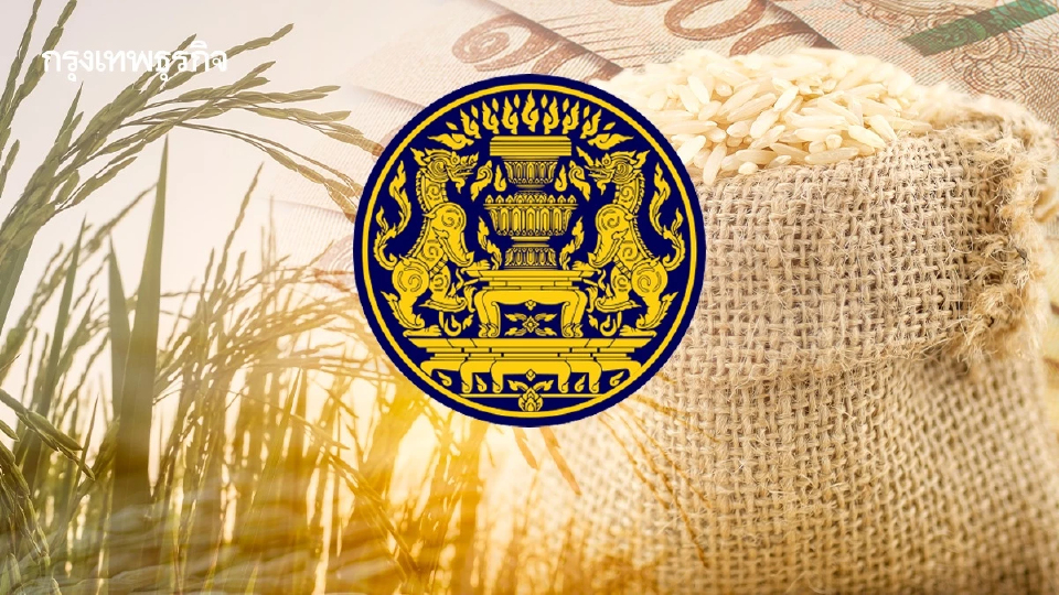 สำนักงบฯแนะหามาตรการยั่งยืน พยุงราคาข้าว เพิ่มรายได้ชาวนาถาวร