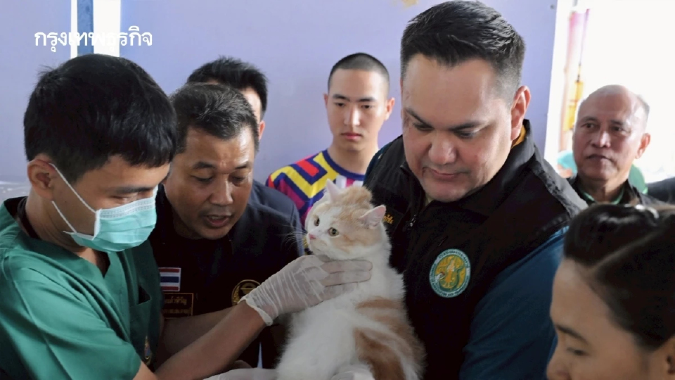 'ปศุสัตว์' เร่งทำหมัน ฉีดวัคซีน หมา แมว ป้องโรคพิษสุขบ้า