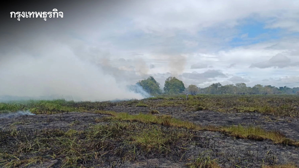 อัปเดต 'ไฟไหม้ป่าพรุ' เขตห้ามล่าสัตว์ป่าทะเลน้อย ล่าสุดคุมเพลิงได้แล้ว