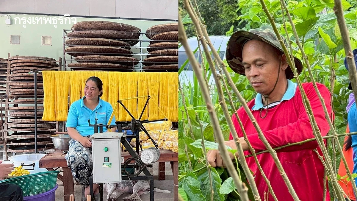 หม่อนไหม ดึงนวัตกรรม ยกวิถีเลี้ยงไหมพื้นบ้าน ขึ้นแท่น บุรีรัมย์โมเดล