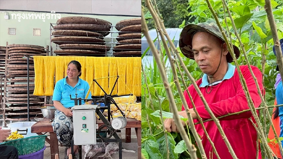 หม่อนไหม ดึงนวัตกรรม ยกวิถีเลี้ยงไหมพื้นบ้าน ขึ้นแท่น บุรีรัมย์โมเดล