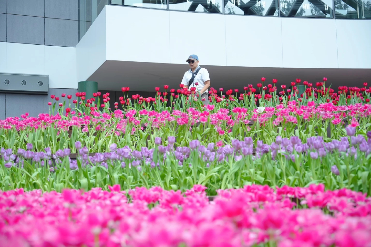 ‘ทีเส็บ’ ขยายพื้นที่ ‘อีอีซี มหานครแห่งไมซ์’  ยกระดับเศรษฐกิจ ‘ระยอง’