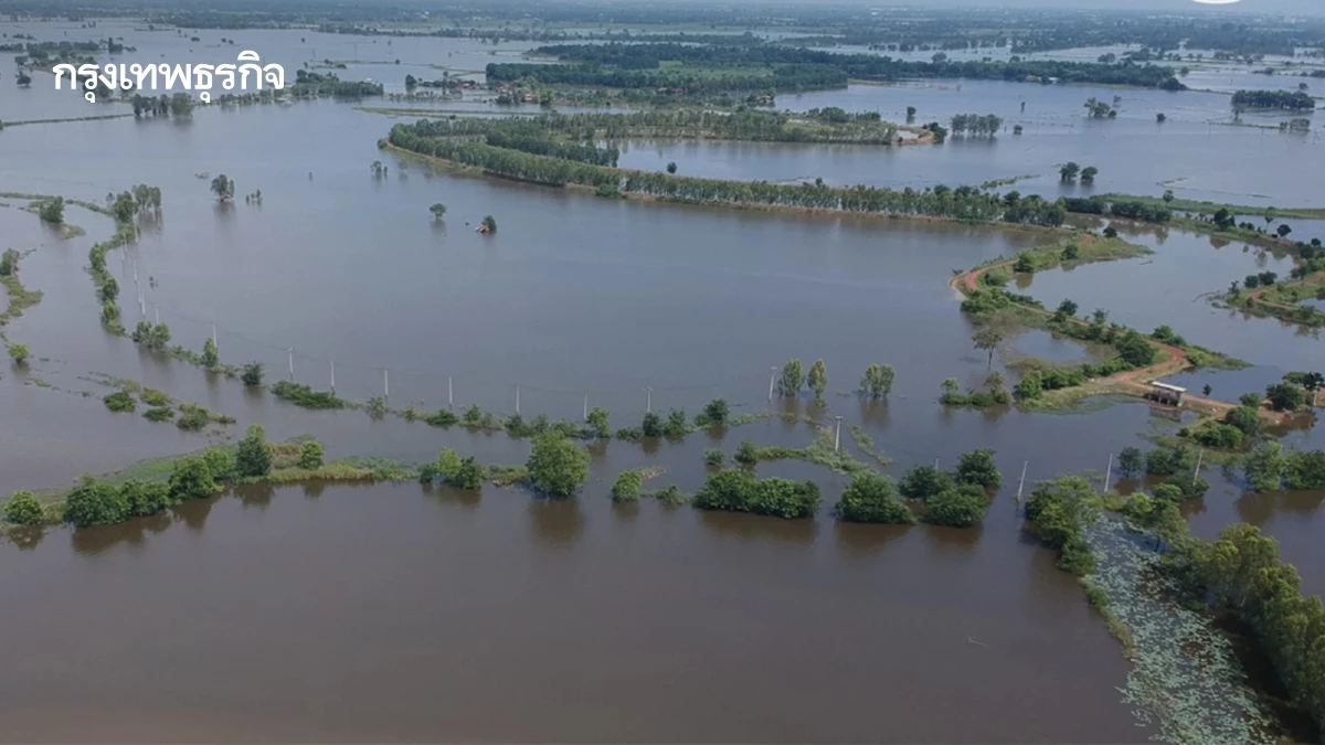'ทุ่งบางระกำ' เก็บน้ำเกือบเต็ม เฝ้าระวังฝนตกหนัก ปลายเดือน ก.ย.
