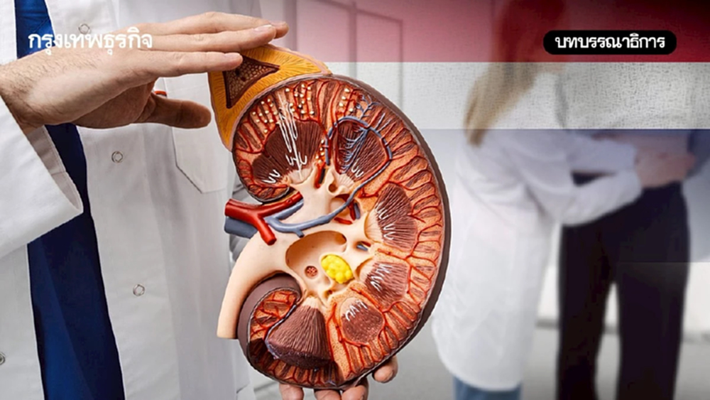 ฟอกไตฟรีทั้งหมดจำเป็นและคุ้มค่า หรือแค่การตลาดการเมือง??