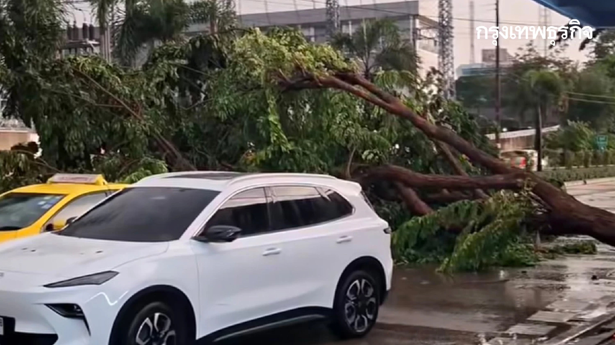กรุงเทพฝนตกหนัก ลมแรง มีน้ำท่วม ต้นไม้ล้มหลายจุด ขวางถนน 3 สายหลัก