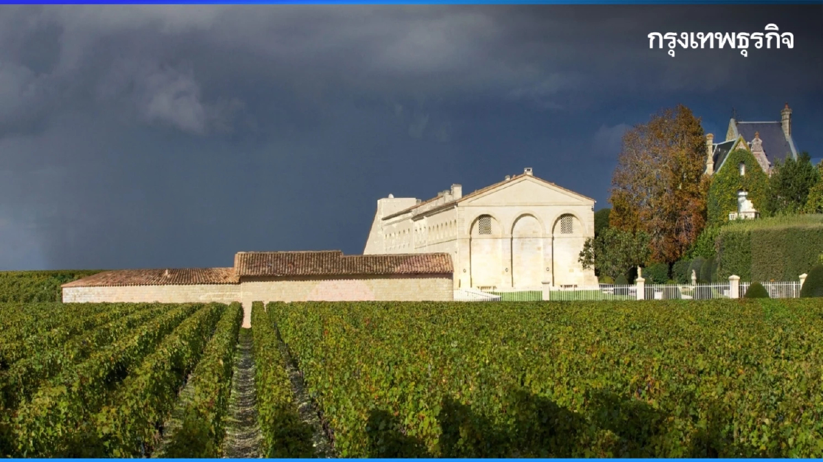 ชาโต มูตง ฮร็อธชีลด์ ในยุคของสายเลือดใหม่