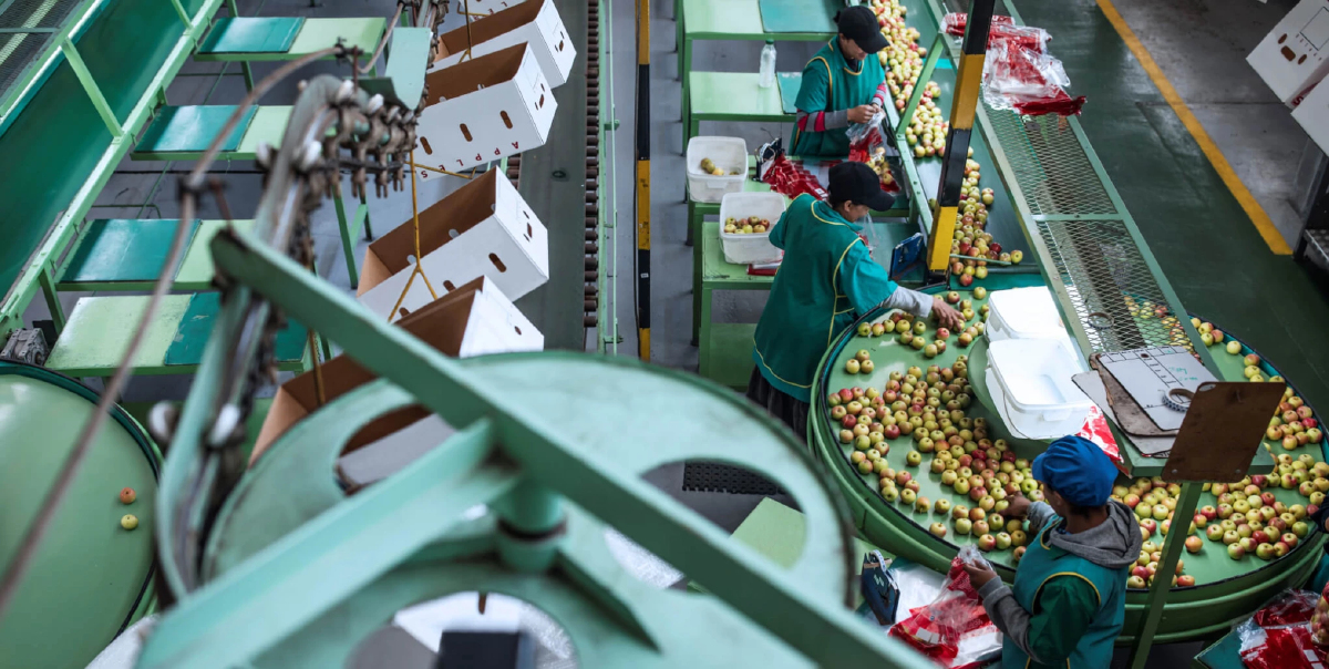 กระแสการบริโภคยั่งยืน | ASEAN Insight