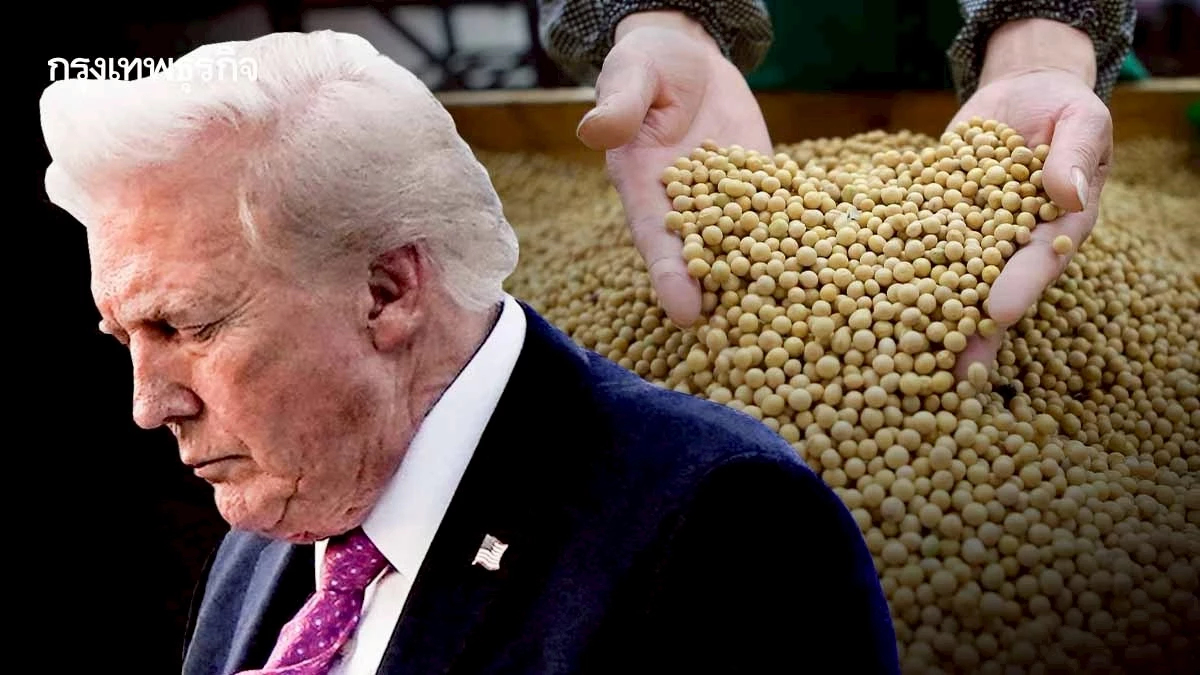 จีน 'ไม่ซื้อถั่วเหลืองสหรัฐแล้ว' ครั้งแรกในรอบ 7 ปี บราซิล–อาร์เจนฯกวาดตลาดแทน