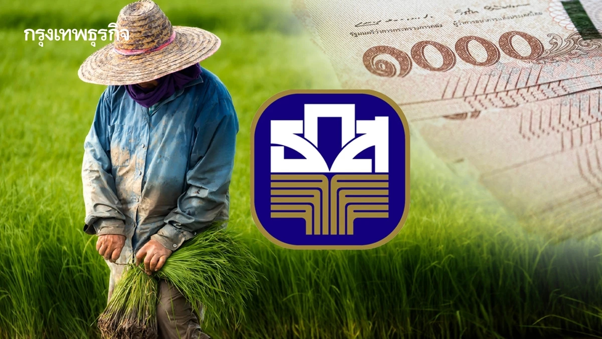 'ไร่ละ 1000' ส่งข้อมูลเพิ่มแล้ว เงินชาวนา เข้าแน่ ธ.ก.ส. โอน พ.ย.68