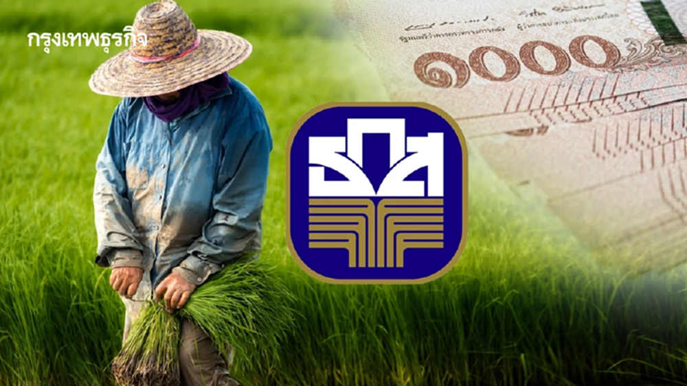 'ไร่ละ 1000' ส่งข้อมูลเพิ่มแล้ว เงินชาวนา เข้าแน่ ธ.ก.ส. โอน พ.ย.68