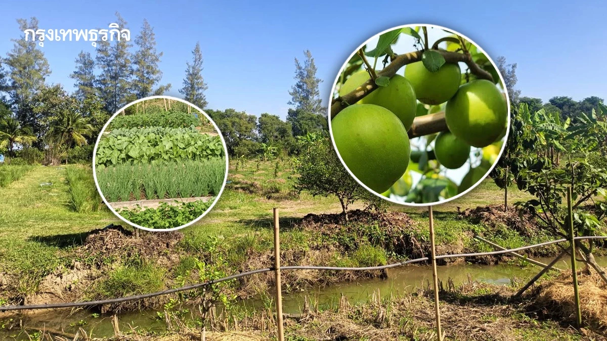 สศก. ดัน เกษตรอินทรีย์เชิงท่องเที่ยว สร้างรายได้ชุมชนท้องถิ่นภาคเหนือตอนล่าง