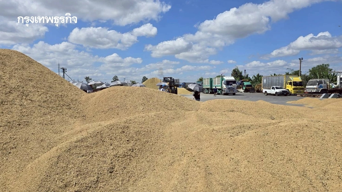 เกษตรฯเล็ง เสนอ นบข. 4 มาตรการพยุงราคาข้าวนาเปลือกปี วงเงิน 6.1 ล้านบาท