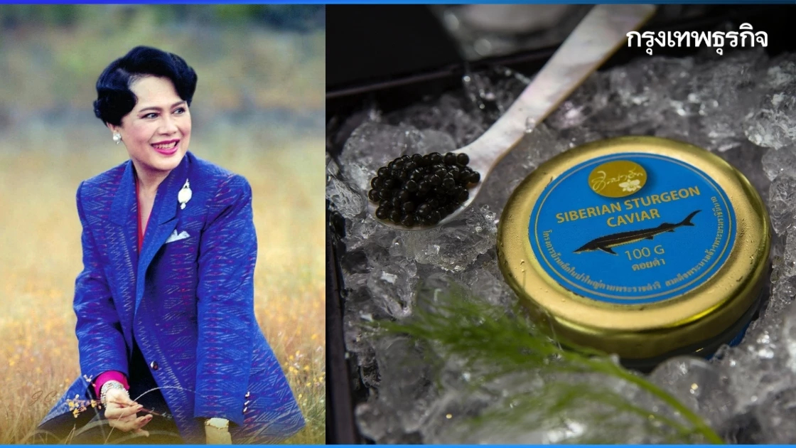 สมเด็จพระพันปีหลวง : คาเวียร์ ทรงสร้างอาชีพบนดอยสูงสู่ตำรับสากล