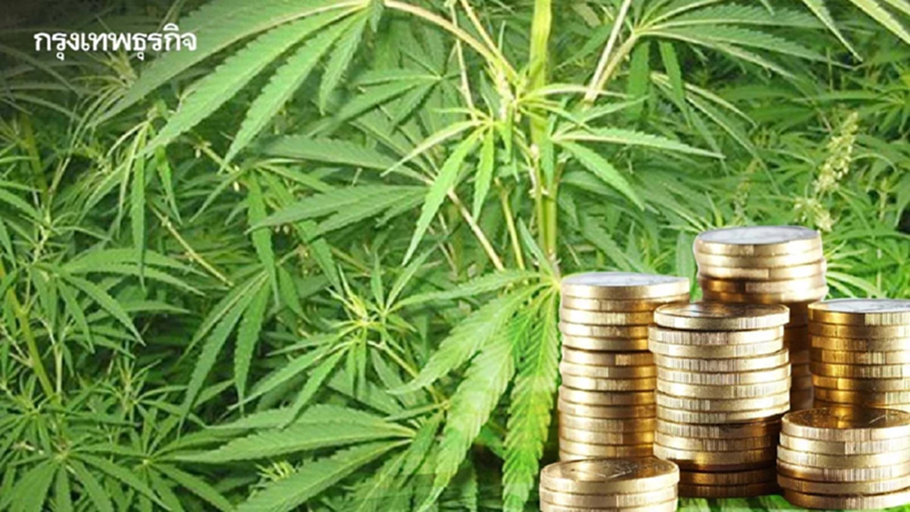 AIHEF 2025 ชูไทยสู่ฮับอุตสาหกรรม 'กัญชง–กัญชา–กระท่อม' แห่งเอเชีย