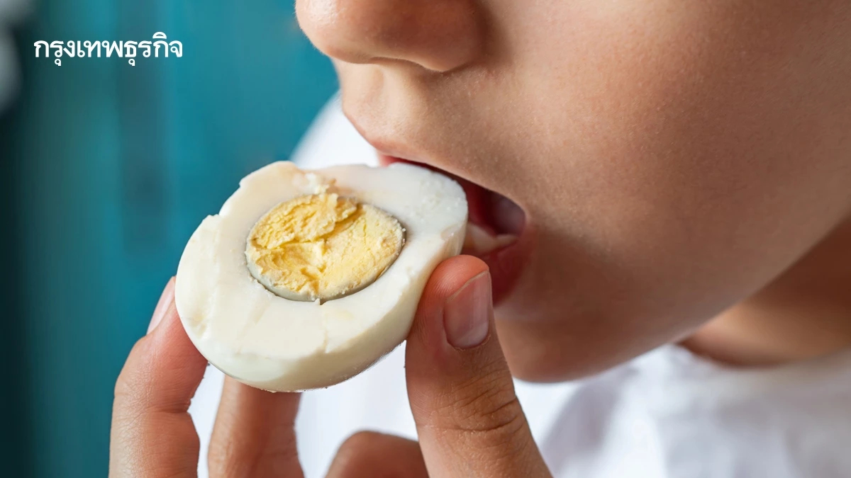 ชวนคนไทยกิน ไข่ไก่วันละฟอง เนื่องในวันไข่โลก 10 ต.ค. นี้