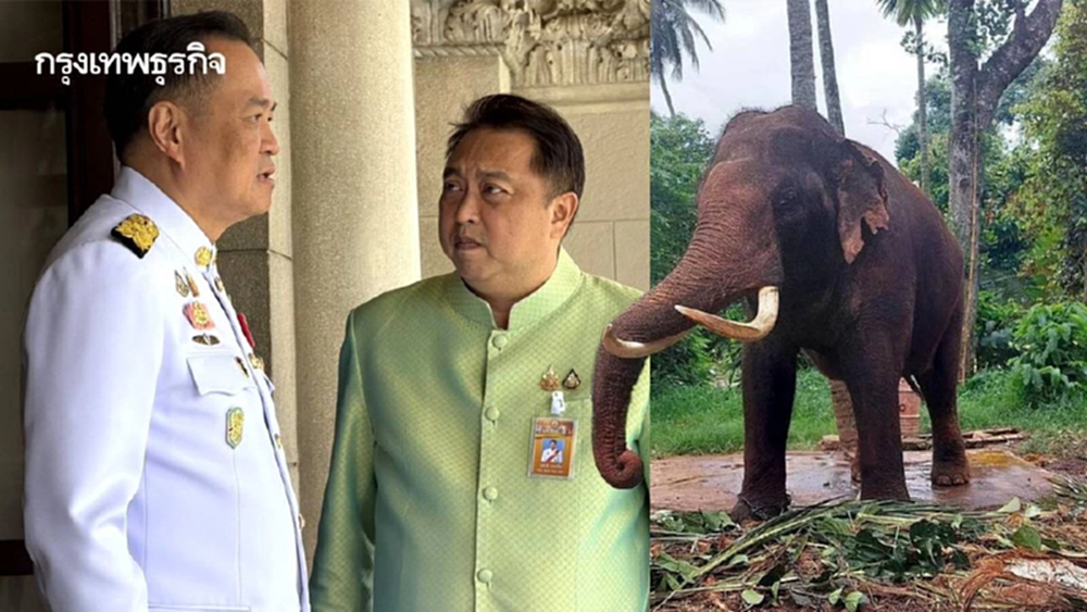 นายกฯอนุทิน อนุมัติ 'สุชาติ' บินด่วนศรีลังกา ทวงคืนช้างไทย ประตูผา–ศรีณรงค์