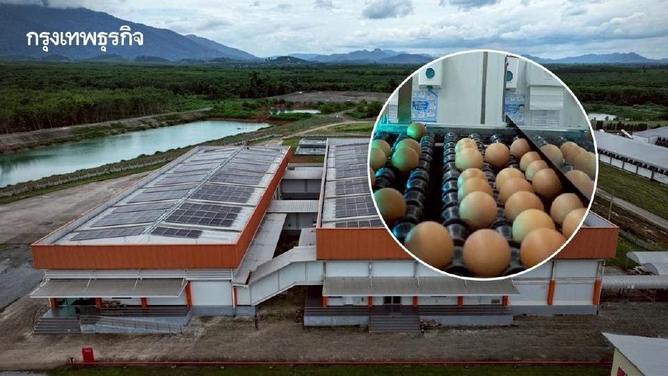 'ฟาร์มไก่ไข่จันทบุรี' ซีพีเอฟ คว้า ASEAN Energy Awards 2025 ต้นแบบฟาร์มพลังงานสะอาด