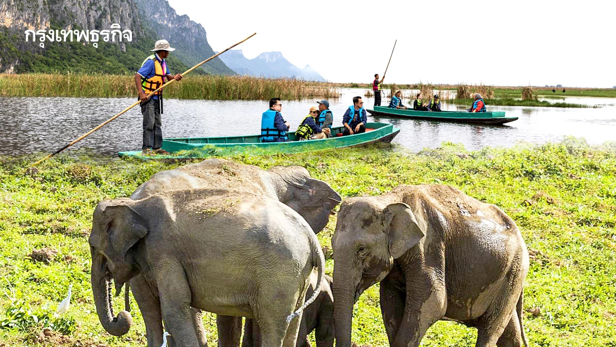 ชุมชนต้นแบบ 'ประจวบคีรีขันธ์' พลิกการอนุรักษ์สู่เศรษฐกิจที่ยั่งยืน