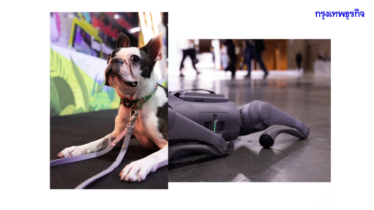 ประกาศผลรางวัลกิจกรรมแข่งขันถ่ายภาพ DUO SHOTS KNOCKOUT X eisa ครั้งที่ 2