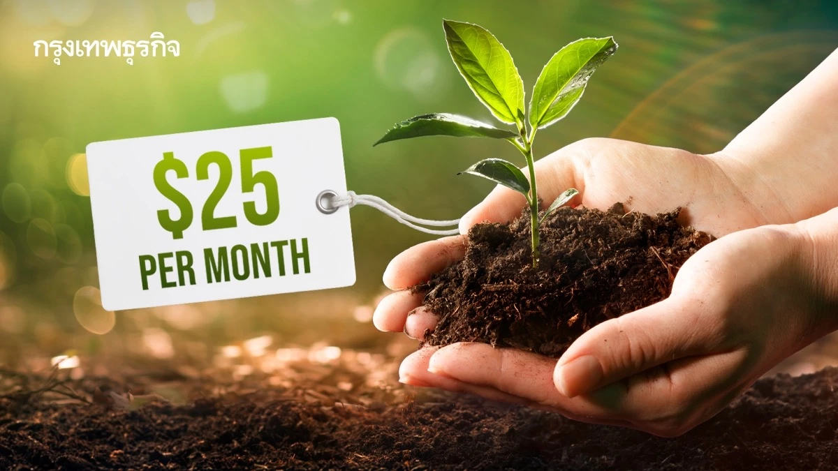เปิดบริการปลูกป่ารายเดือนราคา 25 ดอลลาร์ สร้างความหลากหลายทางชีวภาพ