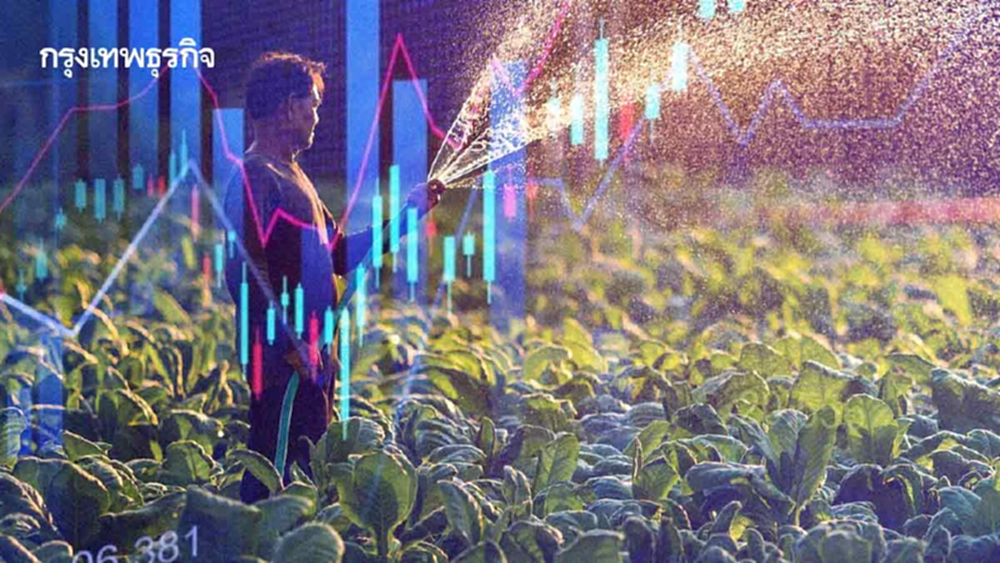 GDP เกษตรไตรมาส 3 ปีนี้ โต 1.4% ปัจจัยการจัดการดี‘น้ำ-โรคระบาด’