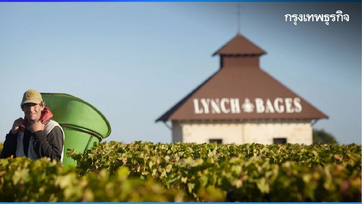 “ชาโต ลีนช์ บาจส์” ไวน์ชั้น 5 ผู้เขย่าบัลลังก์ทุกชั้น