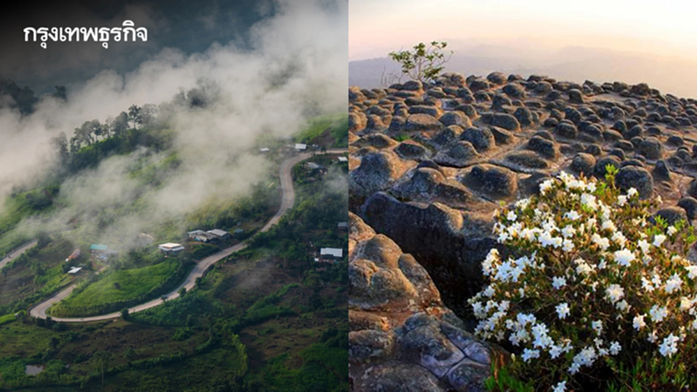 ชวนเที่ยว 'ภูหินร่องกล้า' สัมผัสลมหนาว ชมพระอาทิตย์ขึ้น ทะเลหมอกยามเช้า
