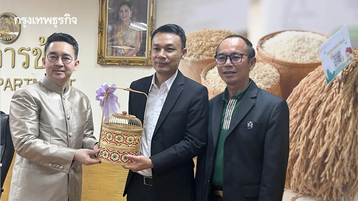 กรมการข้าวถก ธ.ก.ส. ระบายข้าวเปลือก เล็งเสิร์ฟข้าวบนเครื่องบิน