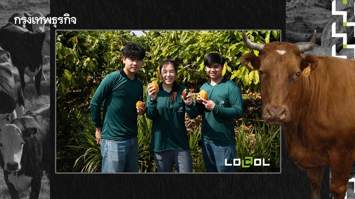 LOCOL สูตรลับผสมโกโก้ สร้างผลลัพธ์ เนื้อวัว Low Carbon